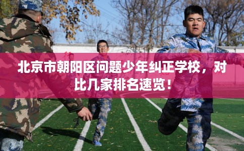 北京市朝阳区问题少年纠正学校，对比几家排名速览！