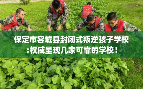 保定市容城县封闭式叛逆孩子学校:权威呈现几家可靠的学校! 保定市容城县封闭式叛逆孩子学校:权威呈现几家可靠的学校!