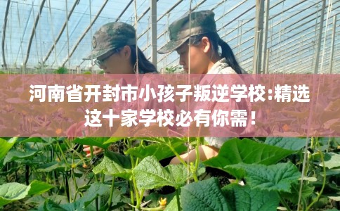 河南省开封市小孩子叛逆学校:精选这十家学校必有你需! 河南省开封市小孩子叛逆学校:精选这十家学校必有你需!