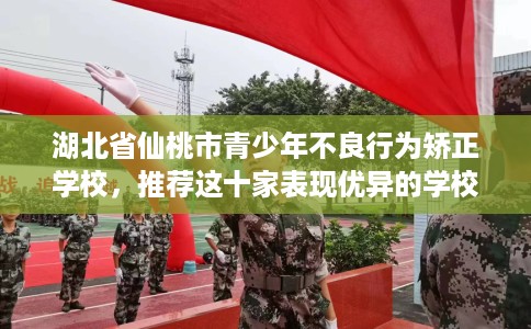 湖北省仙桃市青少年不良行为矫正学校，推荐这十家表现优异的学校！