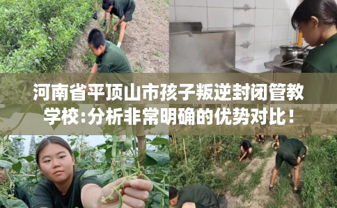 河南省平顶山市孩子叛逆封闭管教学校:分析非常明确的优势对比！