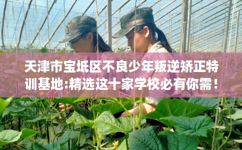 天津市宝坻区不良少年叛逆矫正特训基地:精选这十家学校必有你需！