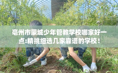 亳州市蒙城少年管教学校哪家好一点:精挑细选几家靠谱的学校！