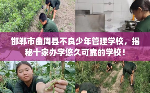 邯郸市曲周县不良少年管理学校，揭秘十家办学悠久可靠的学校！