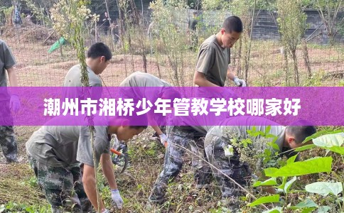 潮州市湘桥少年管教学校哪家好