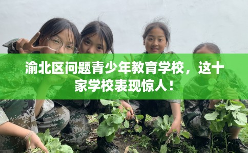 渝北区问题青少年教育学校，这十家学校表现惊人！