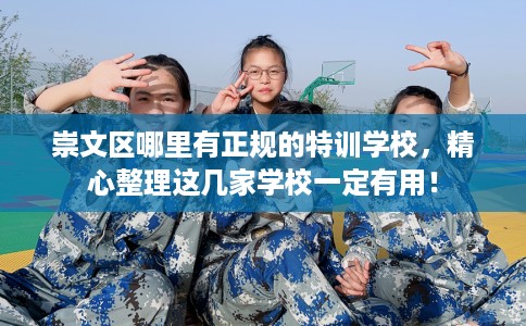 崇文区哪里有正规的特训学校，精心整理这几家学校一定有用！