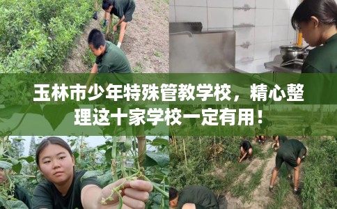 玉林市少年特殊管教学校，精心整理这十家学校一定有用！