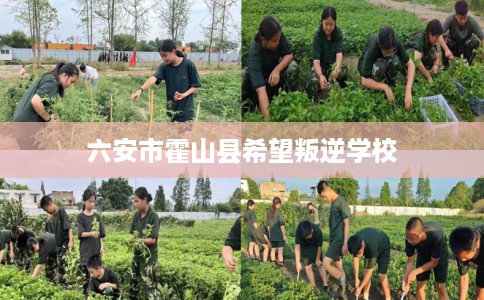 六安市霍山县希望叛逆学校 六安市霍山县希望叛逆学校