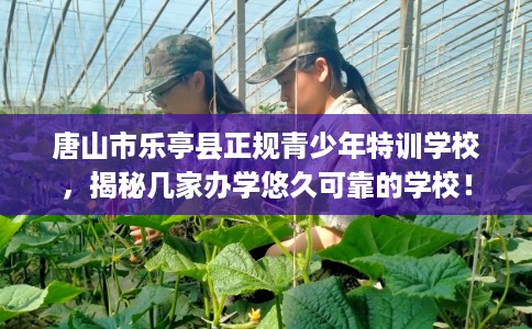 唐山市乐亭县正规青少年特训学校，揭秘几家办学悠久可靠的学校！