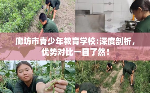 廊坊市青少年教育学校:深度剖析，优势对比一目了然！