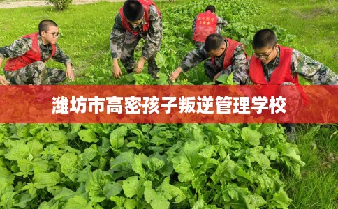 潍坊市高密孩子叛逆管理学校