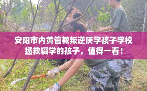 安阳市内黄管教叛逆厌学孩子学校拯救辍学的孩子,值得一看! 安阳市内黄管教叛逆厌学孩子学校拯救辍学的孩子,值得一看!