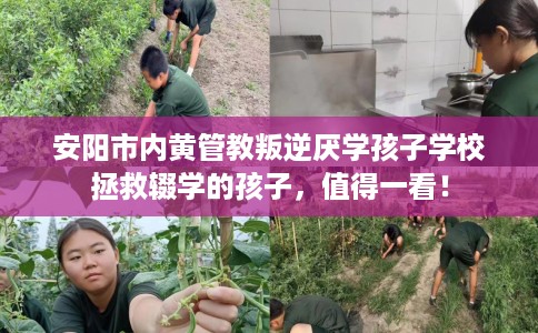 安阳市内黄管教叛逆厌学孩子学校拯救辍学的孩子,值得一看! 安阳市内黄管教叛逆厌学孩子学校拯救辍学的孩子,值得一看!