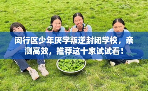 闵行区少年厌学叛逆封闭学校，亲测高效，推荐这十家试试看！