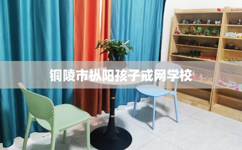 铜陵市枞阳孩子戒网学校