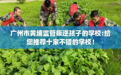 广州市黄埔监管叛逆孩子的学校:给您推荐十家不错的学校！