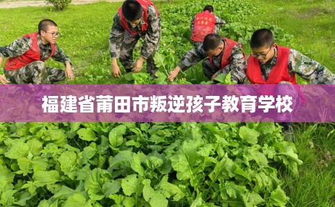 福建省莆田市叛逆孩子教育学校