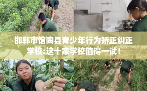 邯郸市馆陶县青少年行为矫正纠正学校:这十家学校值得一试！