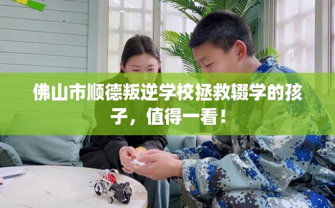 佛山市顺德叛逆学校拯救辍学的孩子,值得一看! 佛山市顺德叛逆学校拯救辍学的孩子,值得一看!