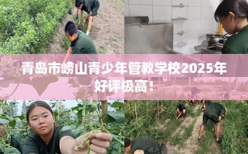 青岛市崂山青少年管教学校2025年好评极高！