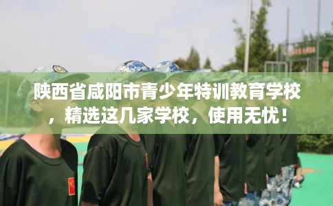 陕西省咸阳市青少年特训教育学校，精选这几家学校，使用无忧！