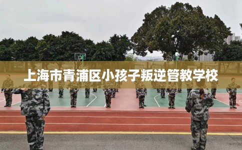 上海市青浦区小孩子叛逆管教学校