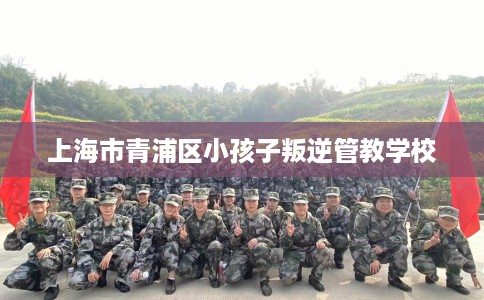 上海市青浦区小孩子叛逆管教学校