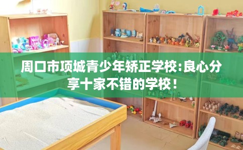 周口市项城青少年矫正学校:良心分享十家不错的学校！
