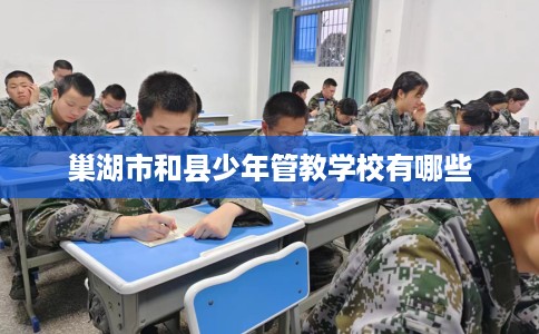 巢湖市和县少年管教学校有哪些