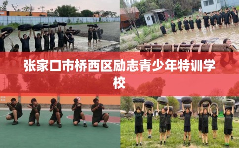 张家口市桥西区励志青少年特训学校