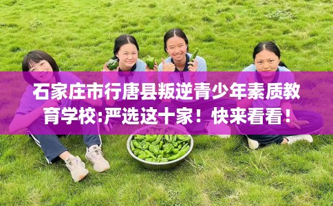 石家庄市行唐县叛逆青少年素质教育学校:严选这十家！快来看看！
