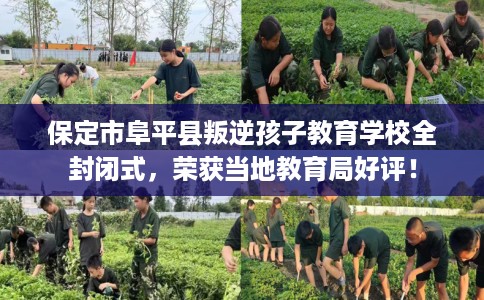 保定市阜平县叛逆孩子教育学校全封闭式，荣获当地教育局好评！