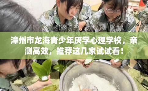 漳州市龙海青少年厌学心理学校，亲测高效，推荐这几家试试看！