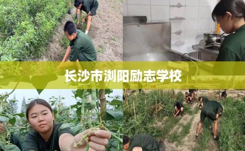 长沙市浏阳励志学校