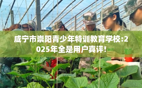 咸宁市崇阳青少年特训教育学校:2025年全是用户真评!