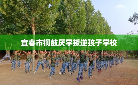 宜春市铜鼓厌学叛逆孩子学校