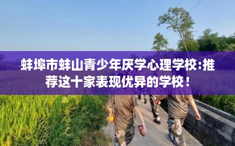 蚌埠市蚌山青少年厌学心理学校:推荐这十家表现优异的学校! 蚌埠市蚌山青少年厌学心理学校:推荐这十家表现优异的学校!