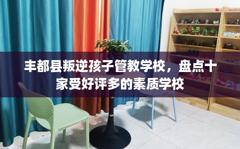 丰都县叛逆孩子管教学校，盘点十家受好评多的素质学校