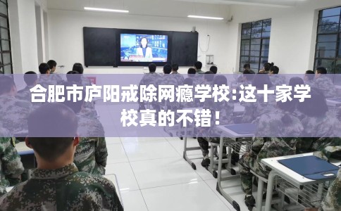 合肥市庐阳戒除网瘾学校:这十家学校真的不错！