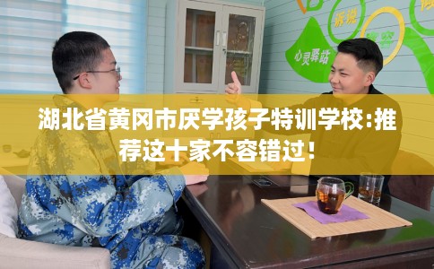 湖北省黄冈市厌学孩子特训学校:推荐这十家不容错过！