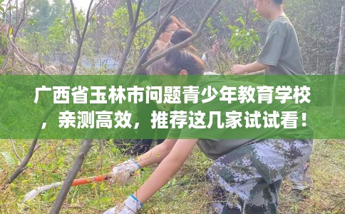 广西省玉林市问题青少年教育学校，亲测高效，推荐这几家试试看！