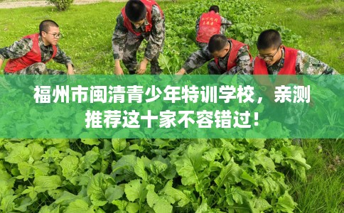 福州市闽清青少年特训学校，亲测推荐这十家不容错过！