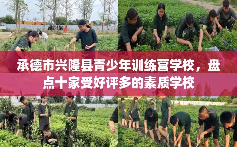 承德市兴隆县青少年训练营学校，盘点十家受好评多的素质学校