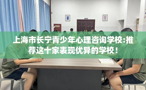 上海市长宁青少年心理咨询学校:推荐这十家表现优异的学校！