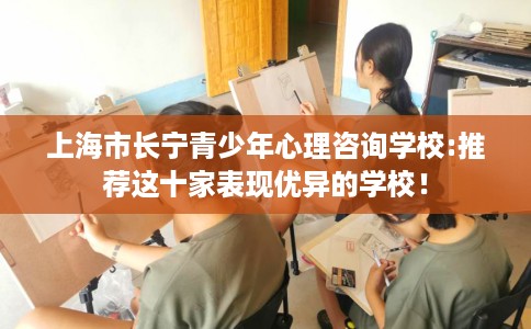 上海市长宁青少年心理咨询学校:推荐这十家表现优异的学校！