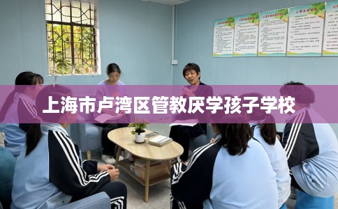 上海市卢湾区管教厌学孩子学校