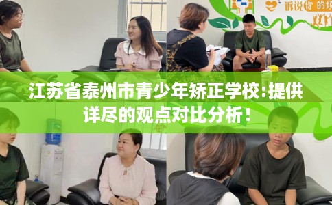 江苏省泰州市青少年矫正学校:提供详尽的观点对比分析！