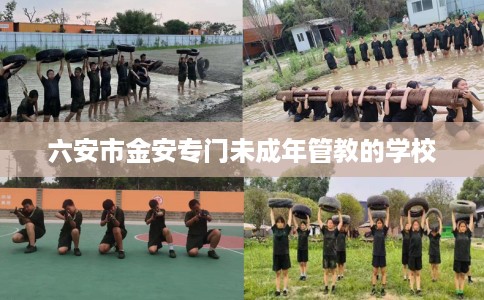 六安市金安专门未成年管教的学校