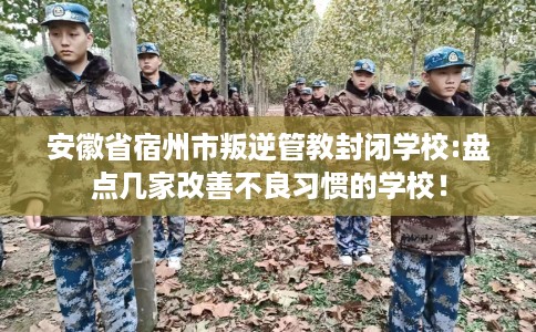 安徽省宿州市叛逆管教封闭学校:盘点几家改善不良习惯的学校! 安徽省宿州市叛逆管教封闭学校:盘点几家改善不良习惯的学校!